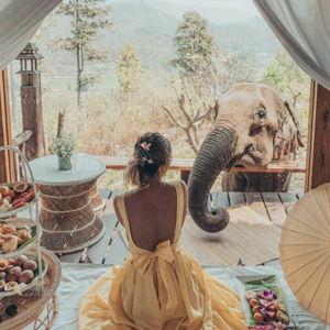 Chai Lai Elephant Sanctuary & Hotel Stay