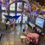 New Bedford Whaling Museum