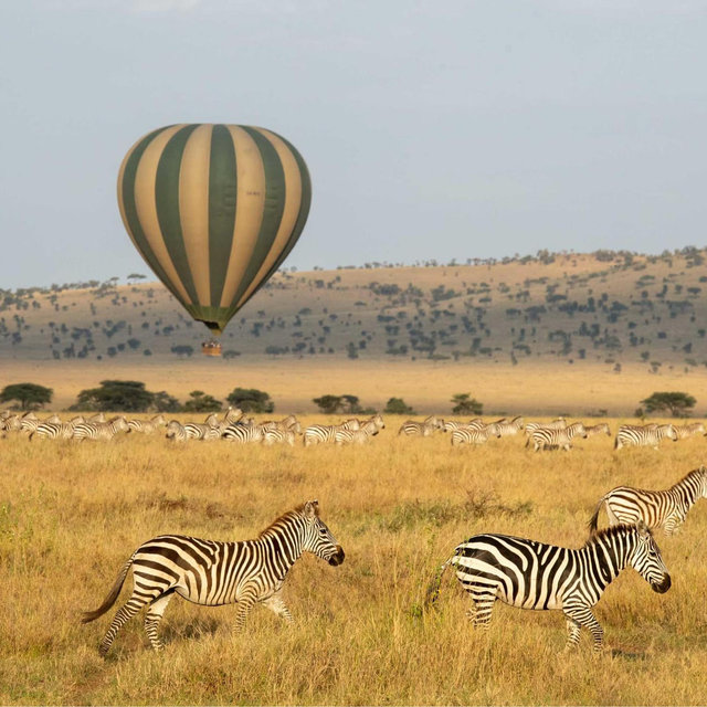 African Balloon Safari