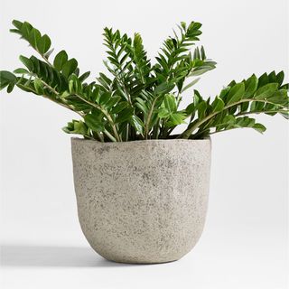 Cavo Textured Indoor/Outdoor Planter