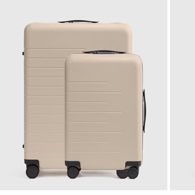 Carry-On & Large Check-In Suitcase Bundle