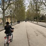 Bike Rental Poli