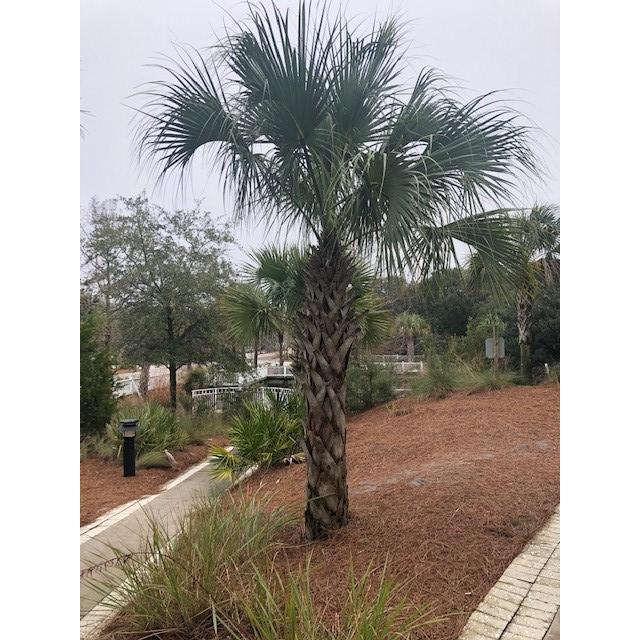 Wild Dunes Resort