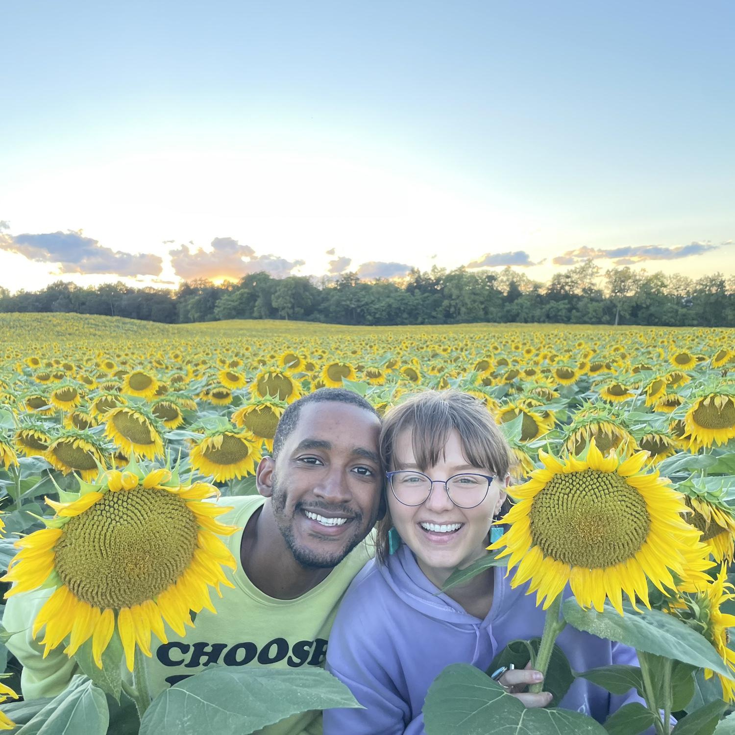 Sunflower picking in the biggest fields we’ve ever seen 🌻😍