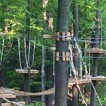 TreeRunner Grand Rapids Adventure Park