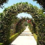 Gardens of the World