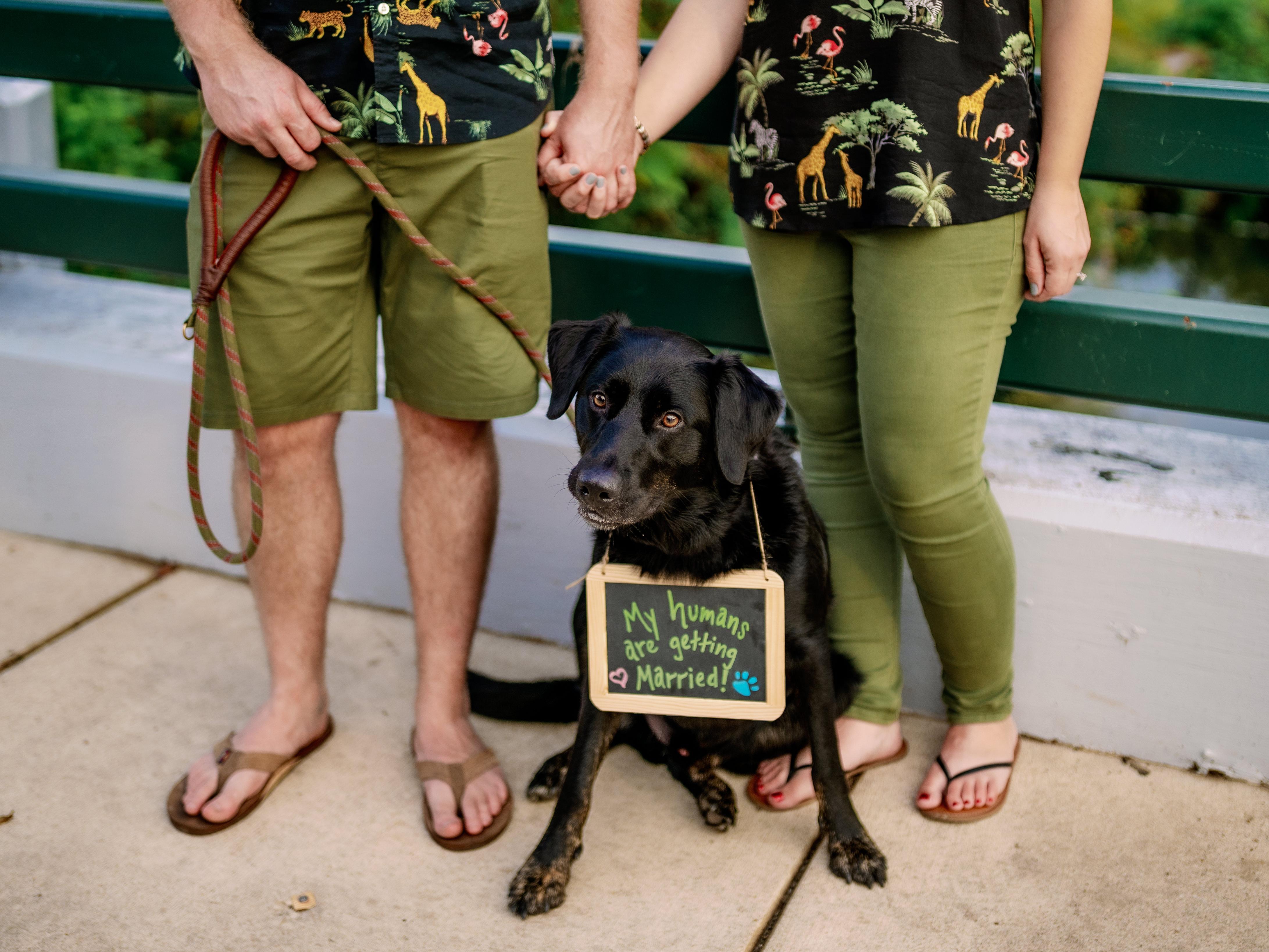 The Wedding Website of Meagan Kane and Ryan Rochelle