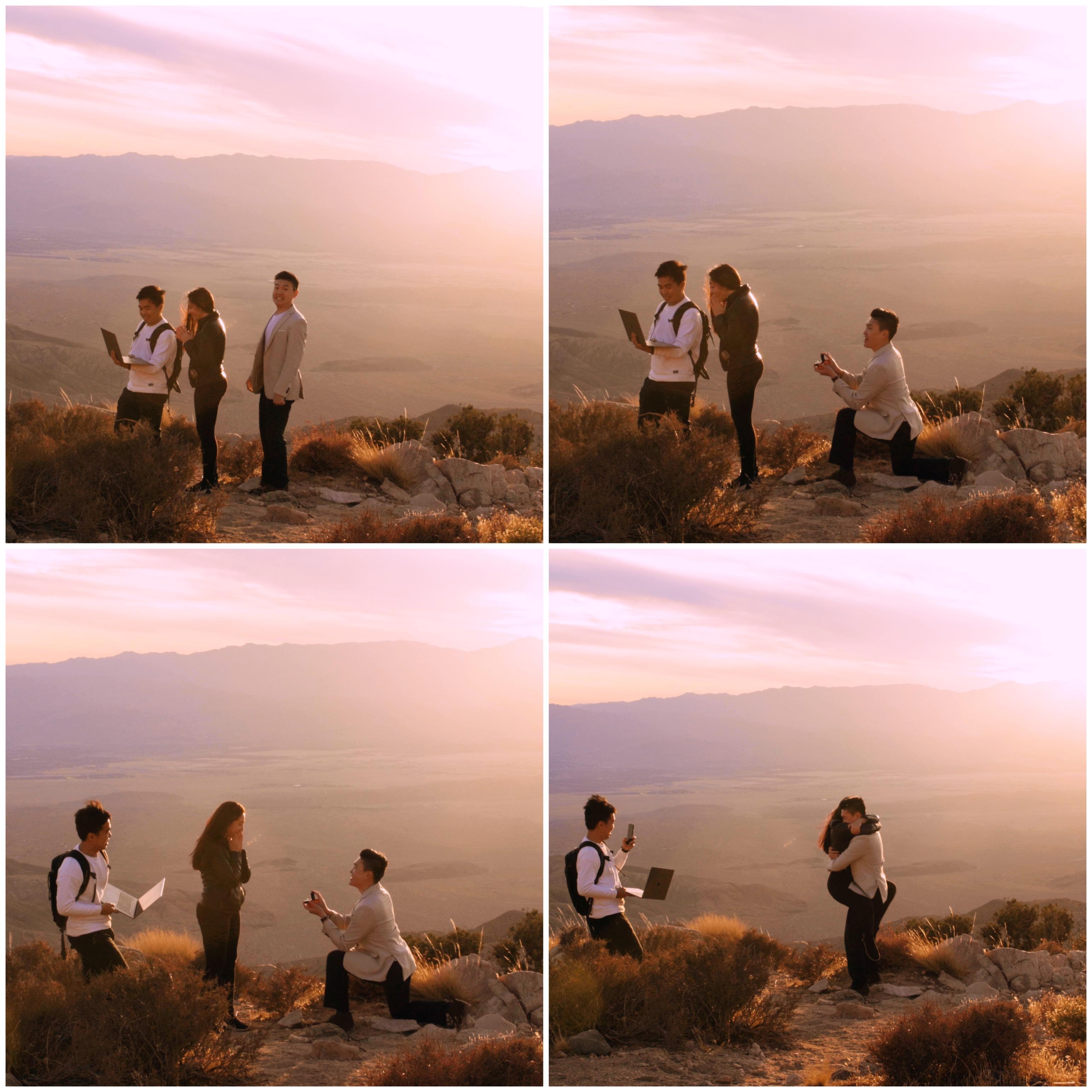 The proposal...a sequence of events