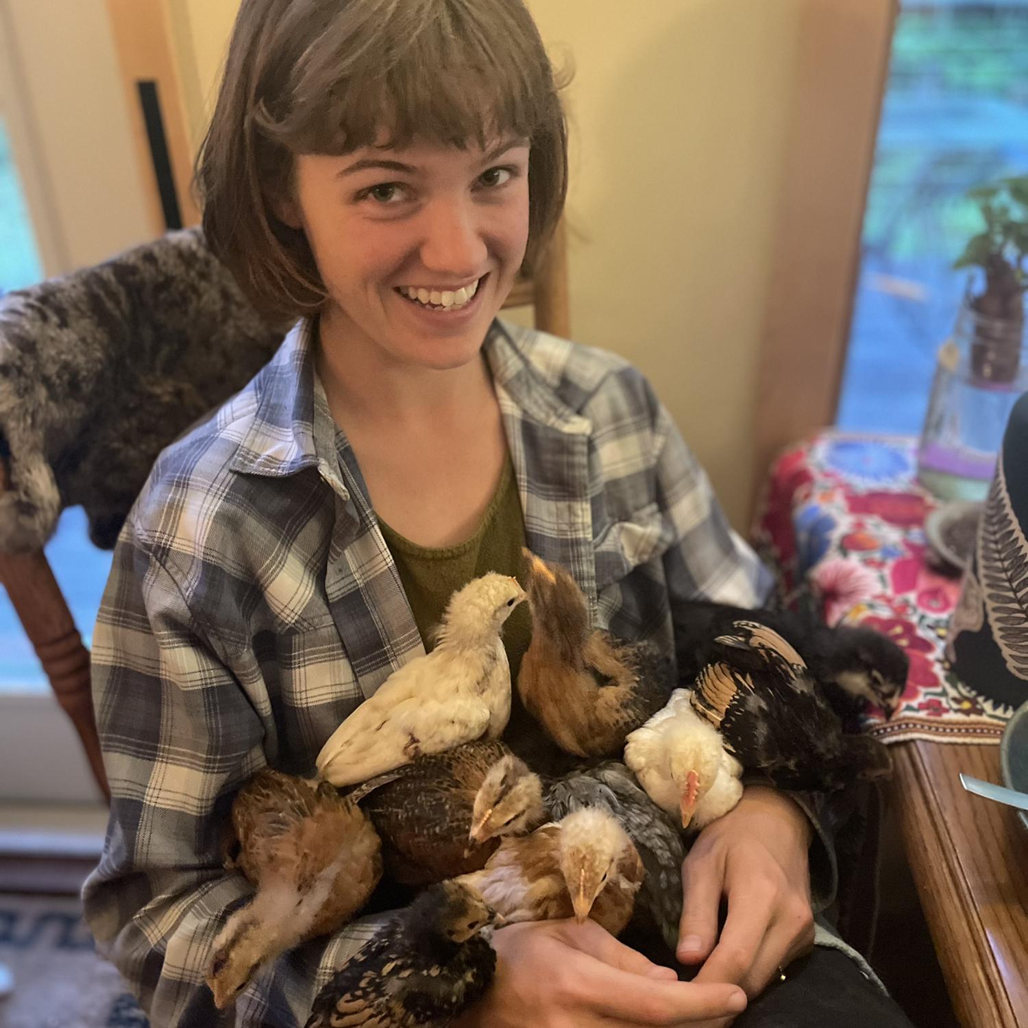How many baby chickens can Lucy hold!?