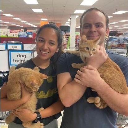 Adopting our kitties