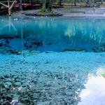 Gilchrist Blue Springs State Park