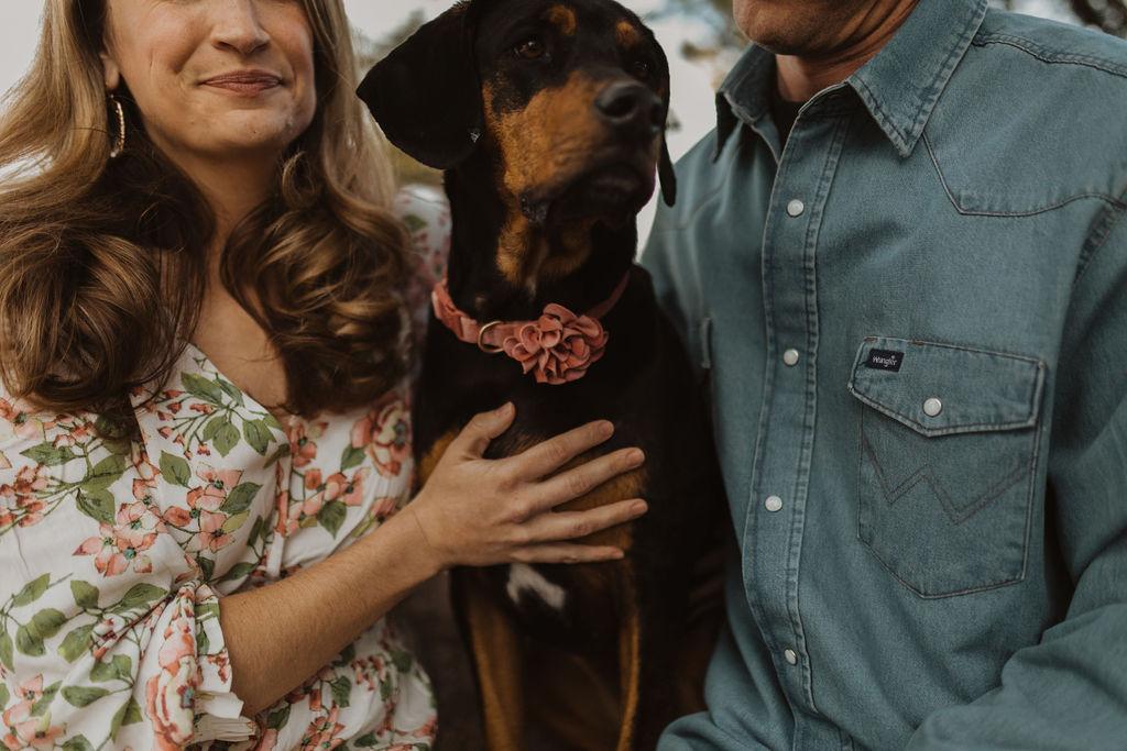 The Wedding Website of Morgan Schulz and Michael York