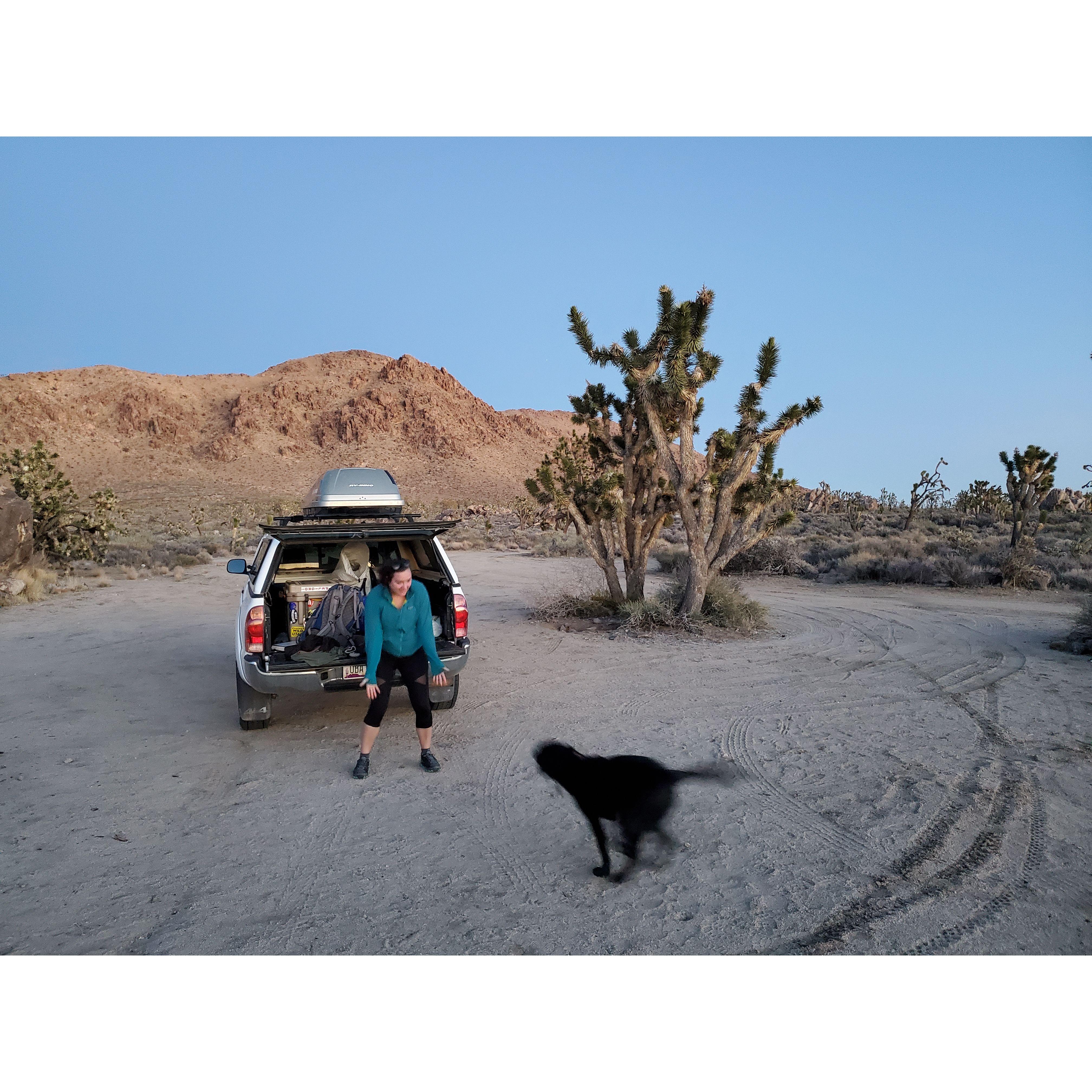 "I LOVE CAMPING!" - Kima, a few hours before taking up as much space as possible in the back of the truck where two people are also trying to sleep.