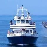 Provincetown Whale Watch Tickets