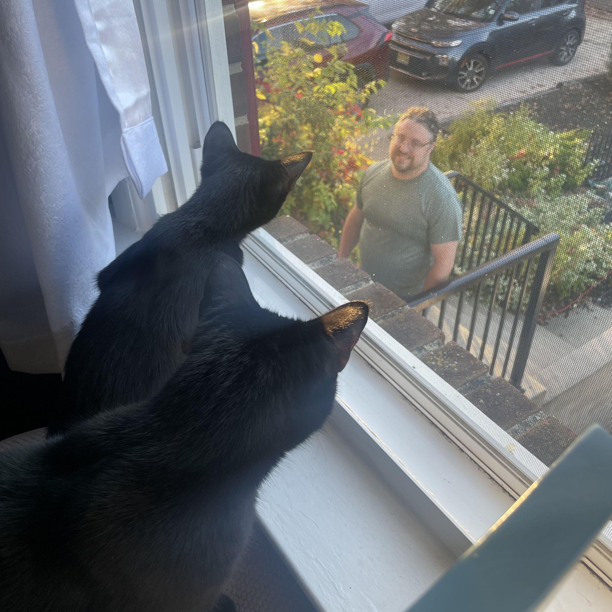 Tyson & Mochi love their dad and wait for him to come home