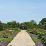 Lyndale Park Rose Garden / Lake Harriet