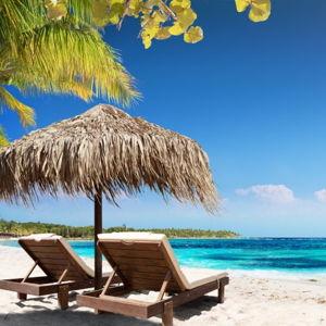Honeymoon Fund