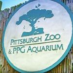 Pittsburgh Zoo & Aquarium
