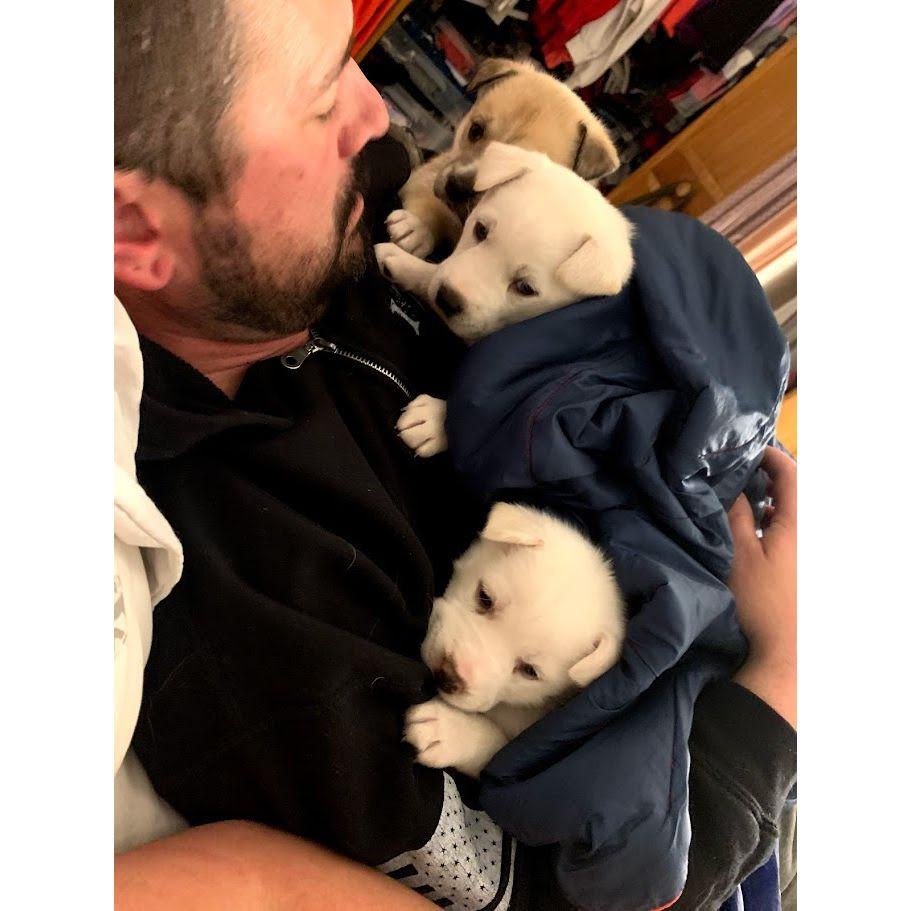 Glenn loves PUPPIES! (btw, he usually didn't enjoy them unless they were moments like these, lol)