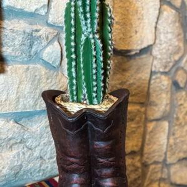 Cowboy Boot Planter