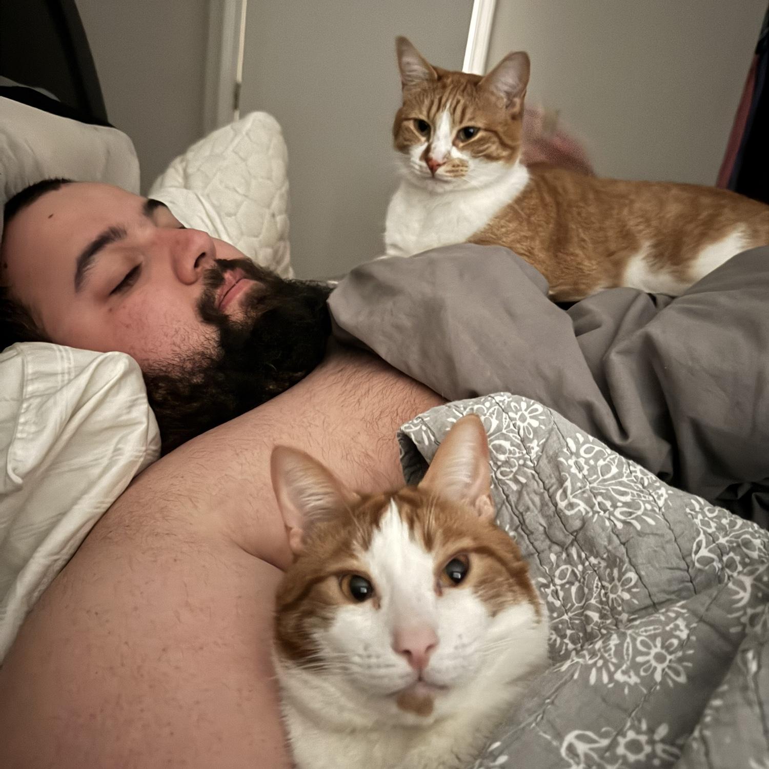 Dylan “not being a cat dad”