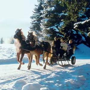 Honeymoon Horse-Drawn Carriage Ride in Austria!
