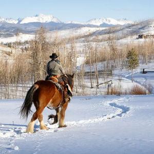 Horseback Riding