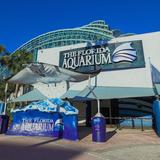 The Florida Aquarium