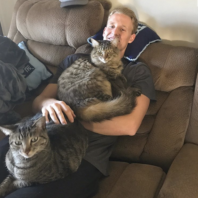 Cat Dad, 2017.