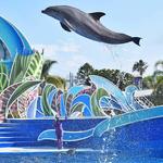 SeaWorld