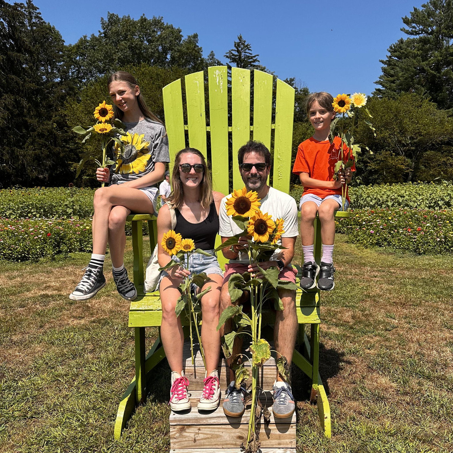Annual sunflower field visit, August 2025
