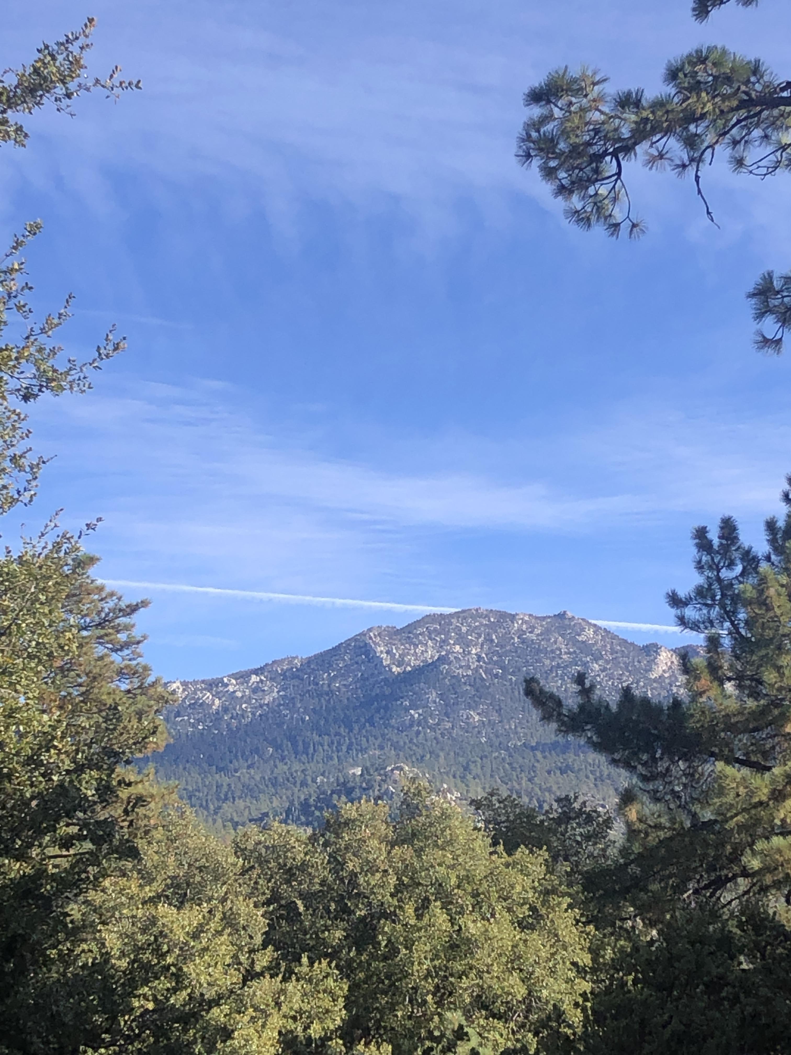 The Wedding Website of Eleanor Woffinden and Charlie Forray