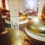 Coors Brewery Tour