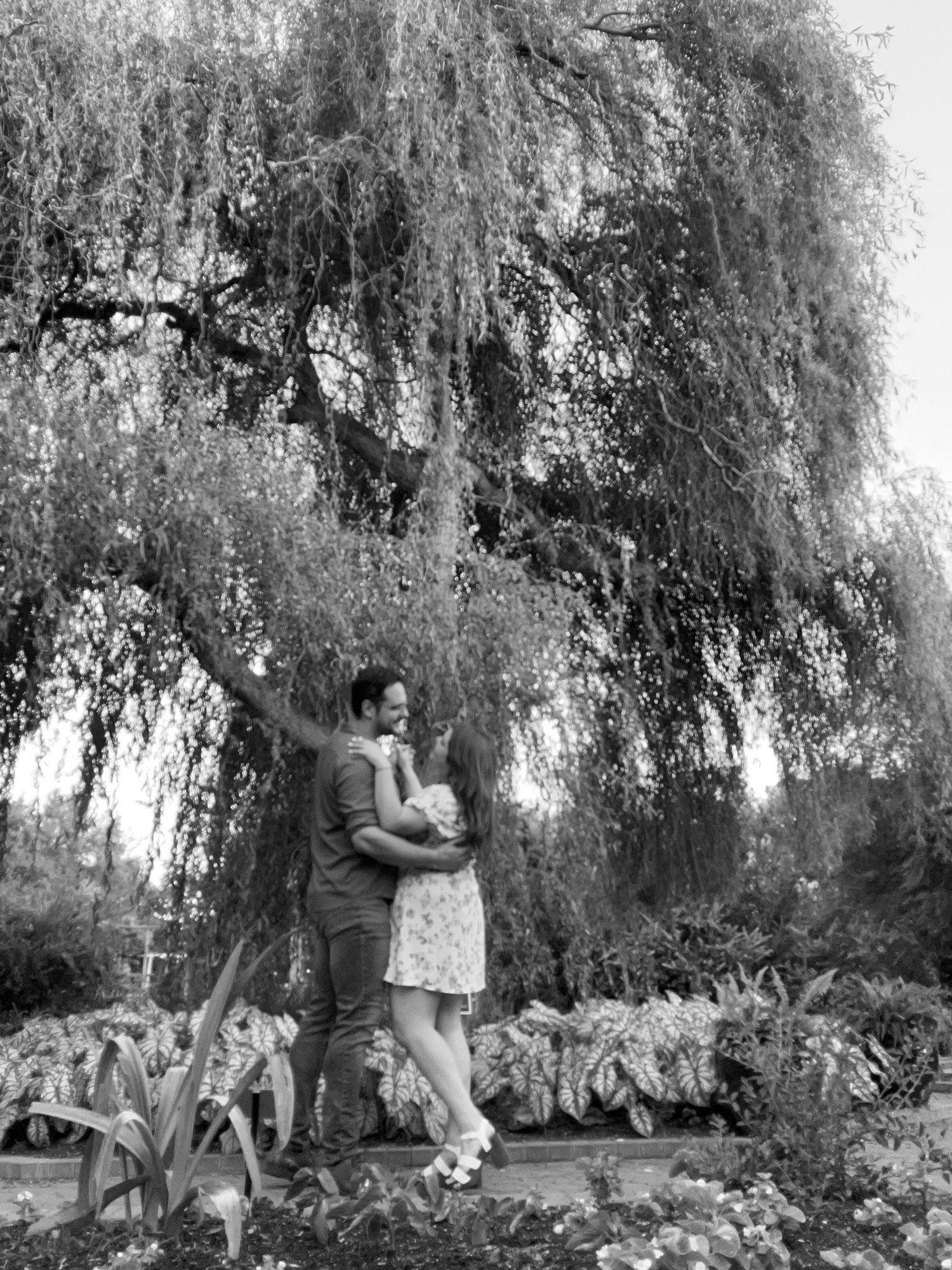 The Wedding Website of Daniel Vincent Name and Jaclyn Marie Jordan