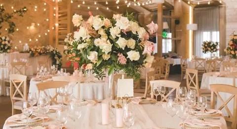The Wedding Website of BRANDI TATE and DARDEN JACKSON