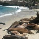 La Jolla Cove