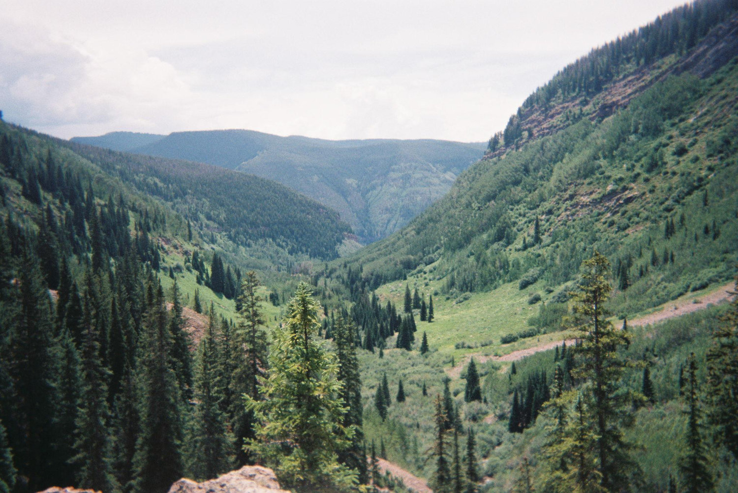 The Wedding Website of Elizabeth Anderson and Austin Sparks