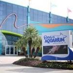 Ripley's Aquarium of Myrtle Beach