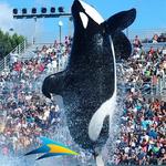 SeaWorld Orlando