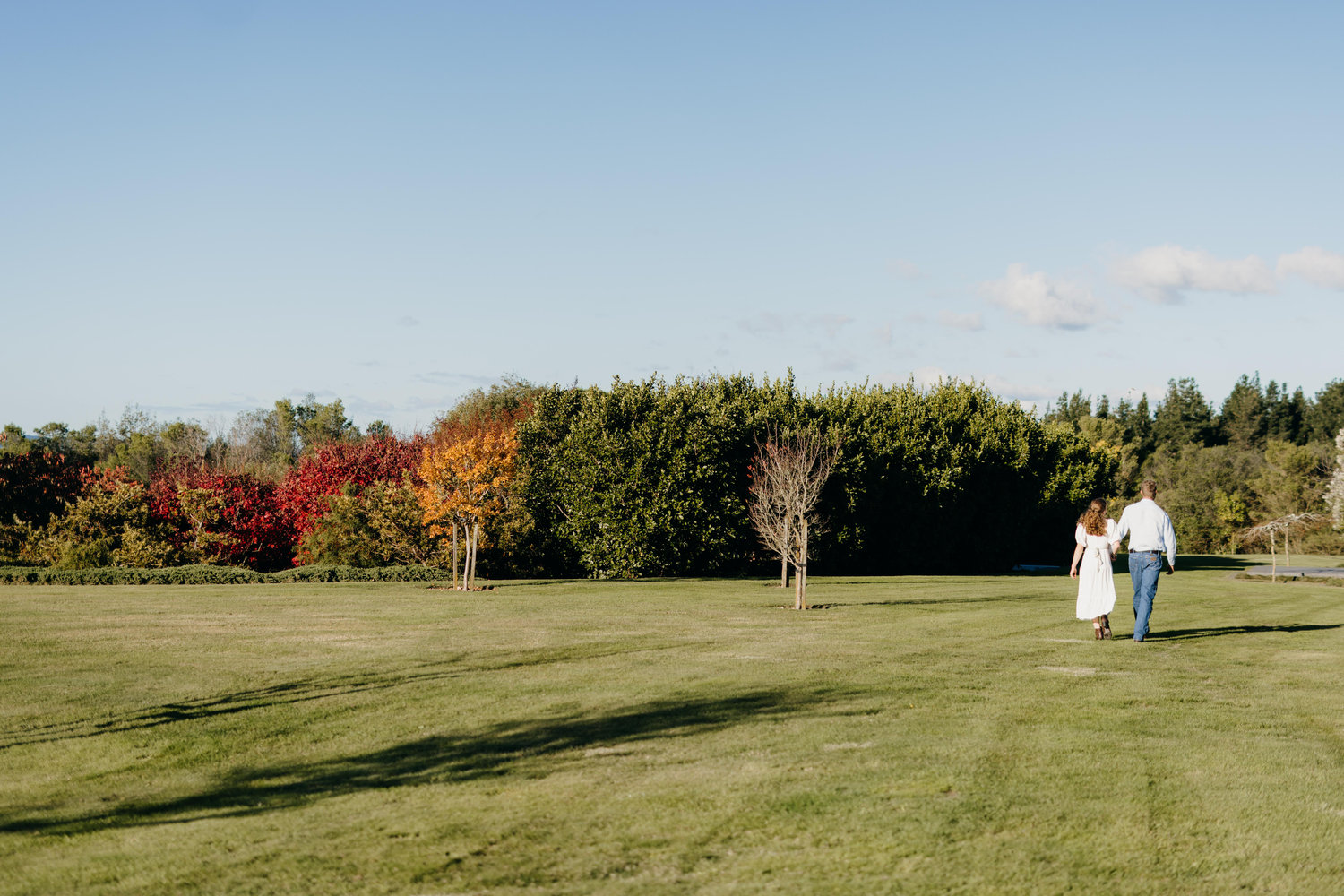 The Wedding Website of Giorgia Hickey and Peter Stichbury