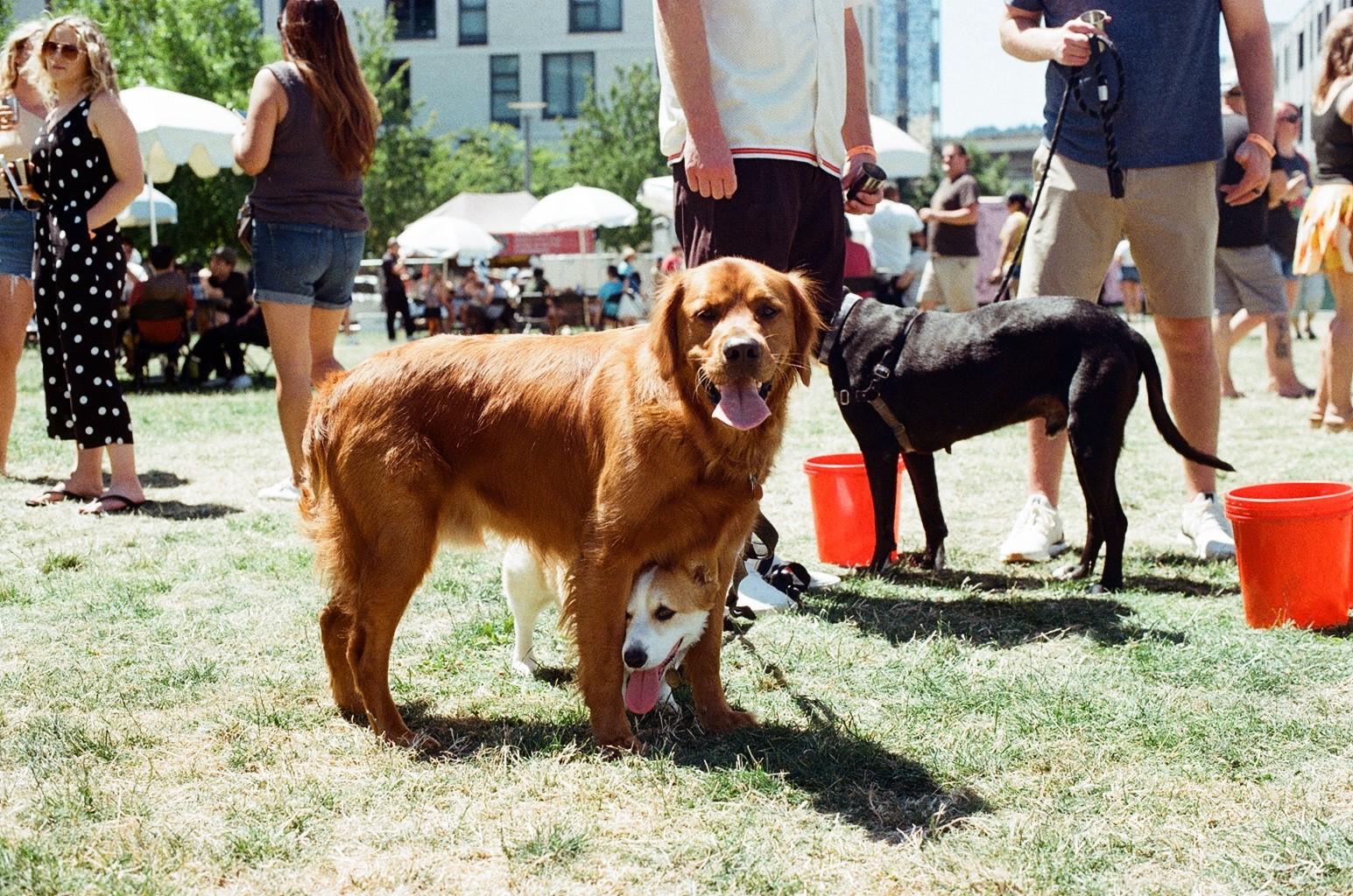 The Wedding Website of Carissa Brightly and Dane MacLeod