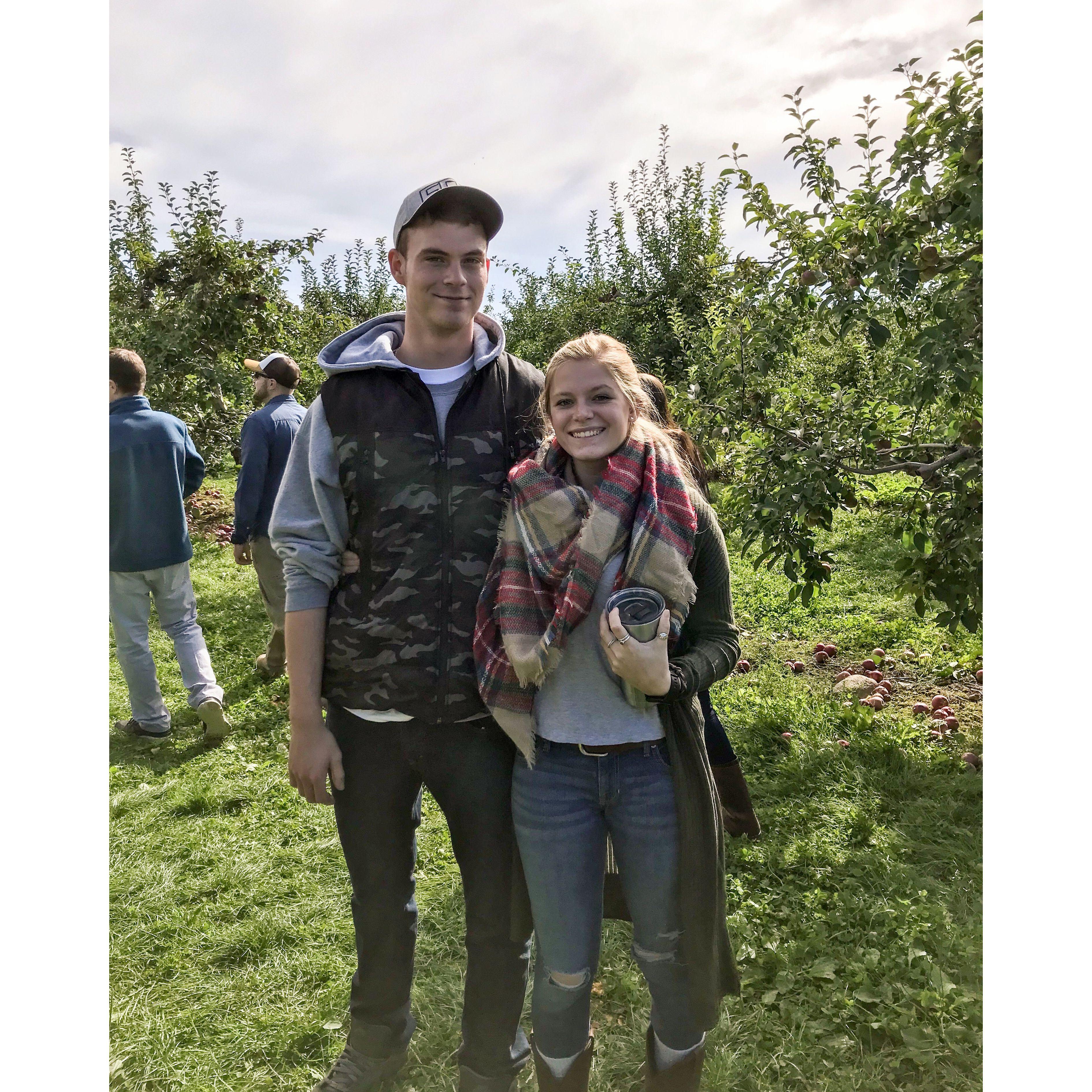 More apple picking! (Surprise surprise)