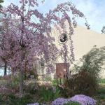 Cantiga Wineworks