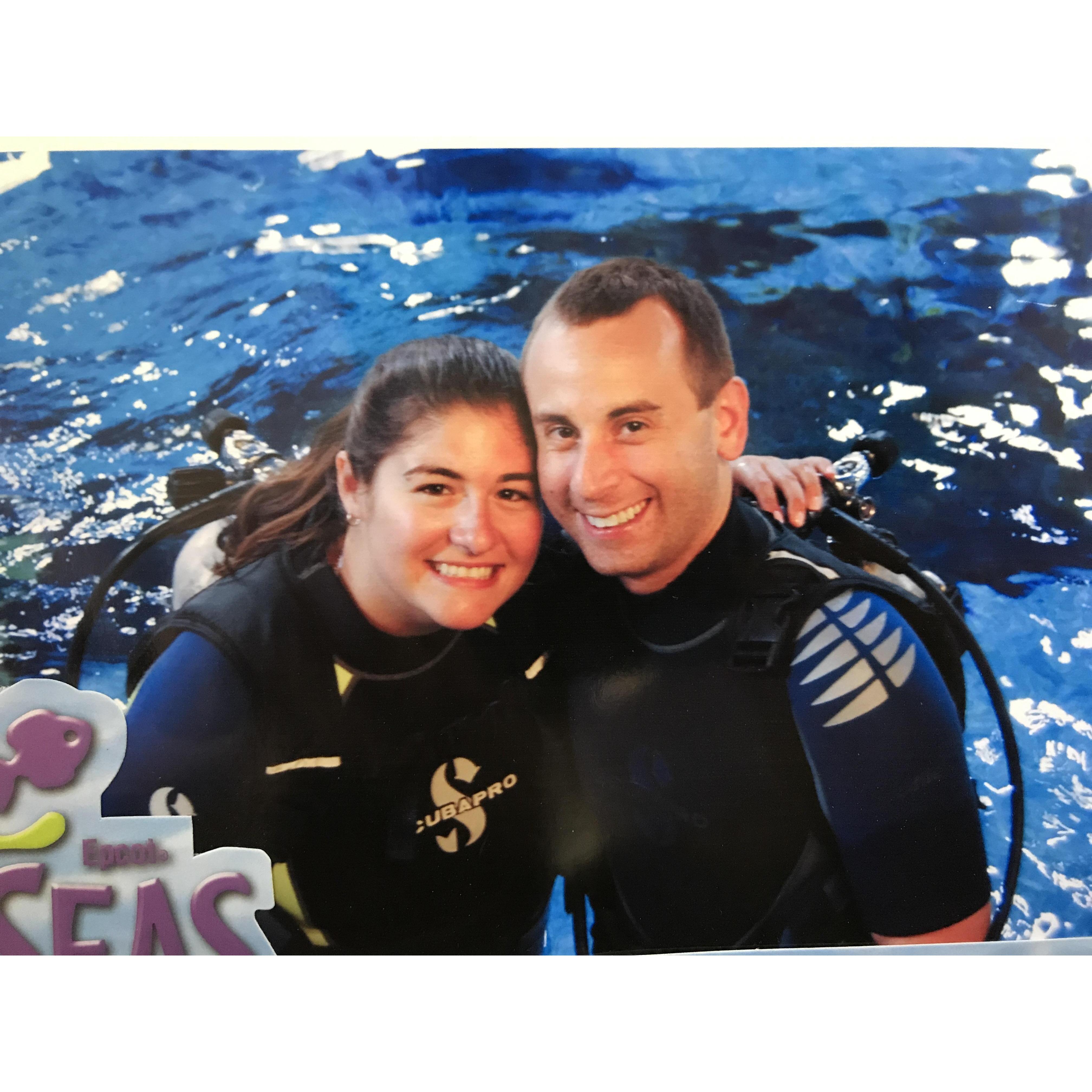 Swimming with the turtles and sharks!