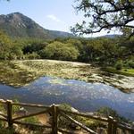 Parque Natural Los Alcornocales
