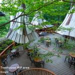 The Blueberry Treehouse Farm & The Treehouse Café