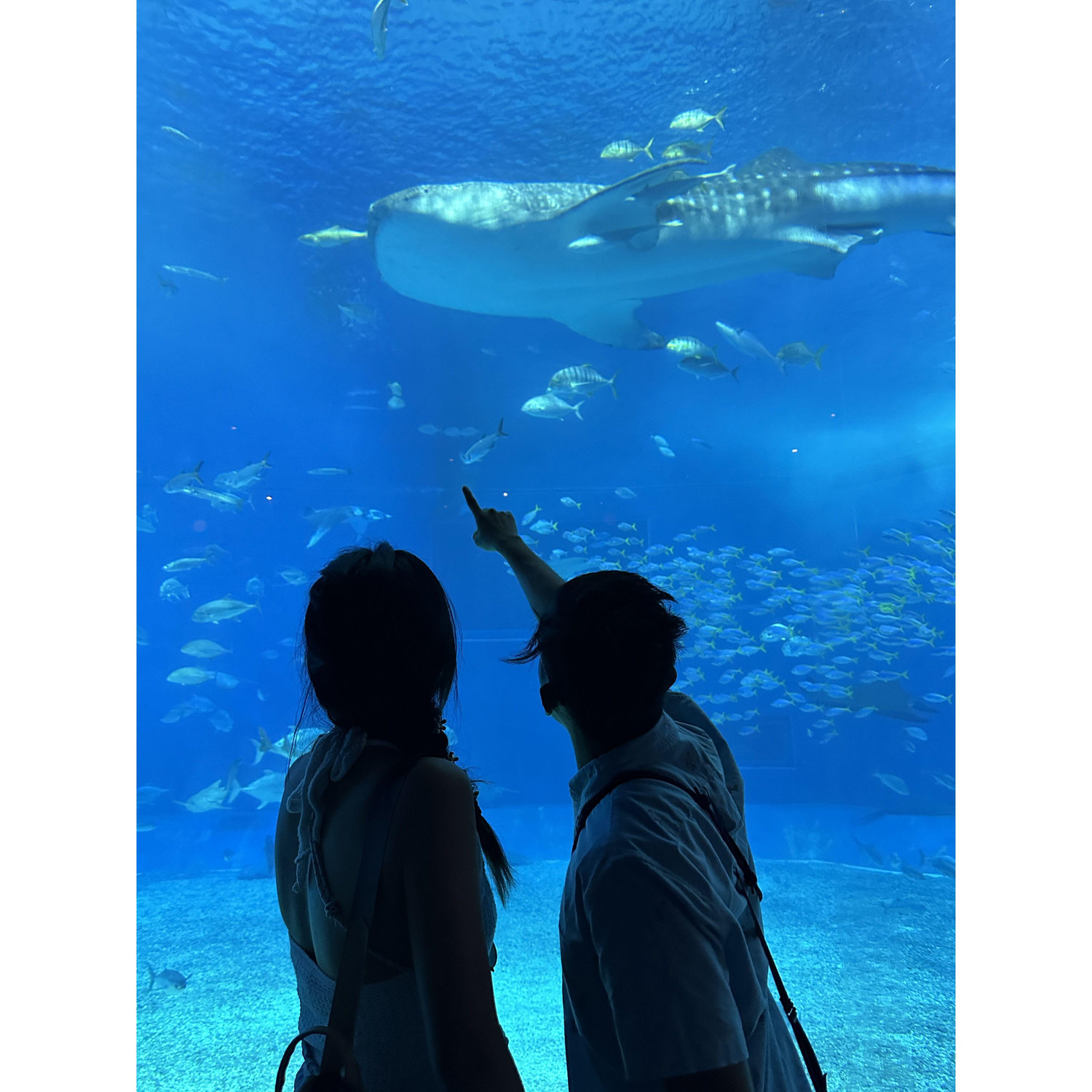 [2023-10] We love fish—especially sashimi.