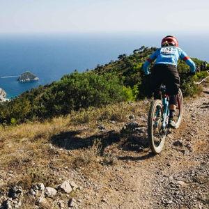 Honeymoon fund (a biking trip, obviously)