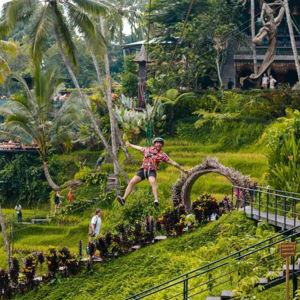 Ziplining Over Tegalalang Rice Fields