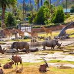 San Diego Zoo Safari Park